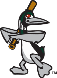 Great Lakes Loons 2007-2015 Alternate Logo iron on transfers for clothing